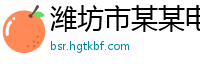 潍坊市某某电子科技服务中心