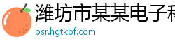 潍坊市某某电子科技服务中心